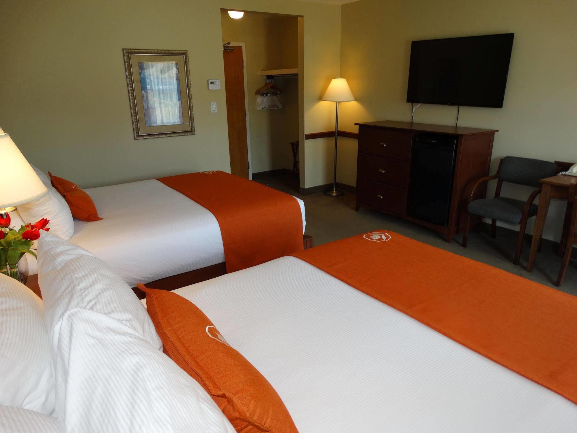 Amsterdam & Moncton