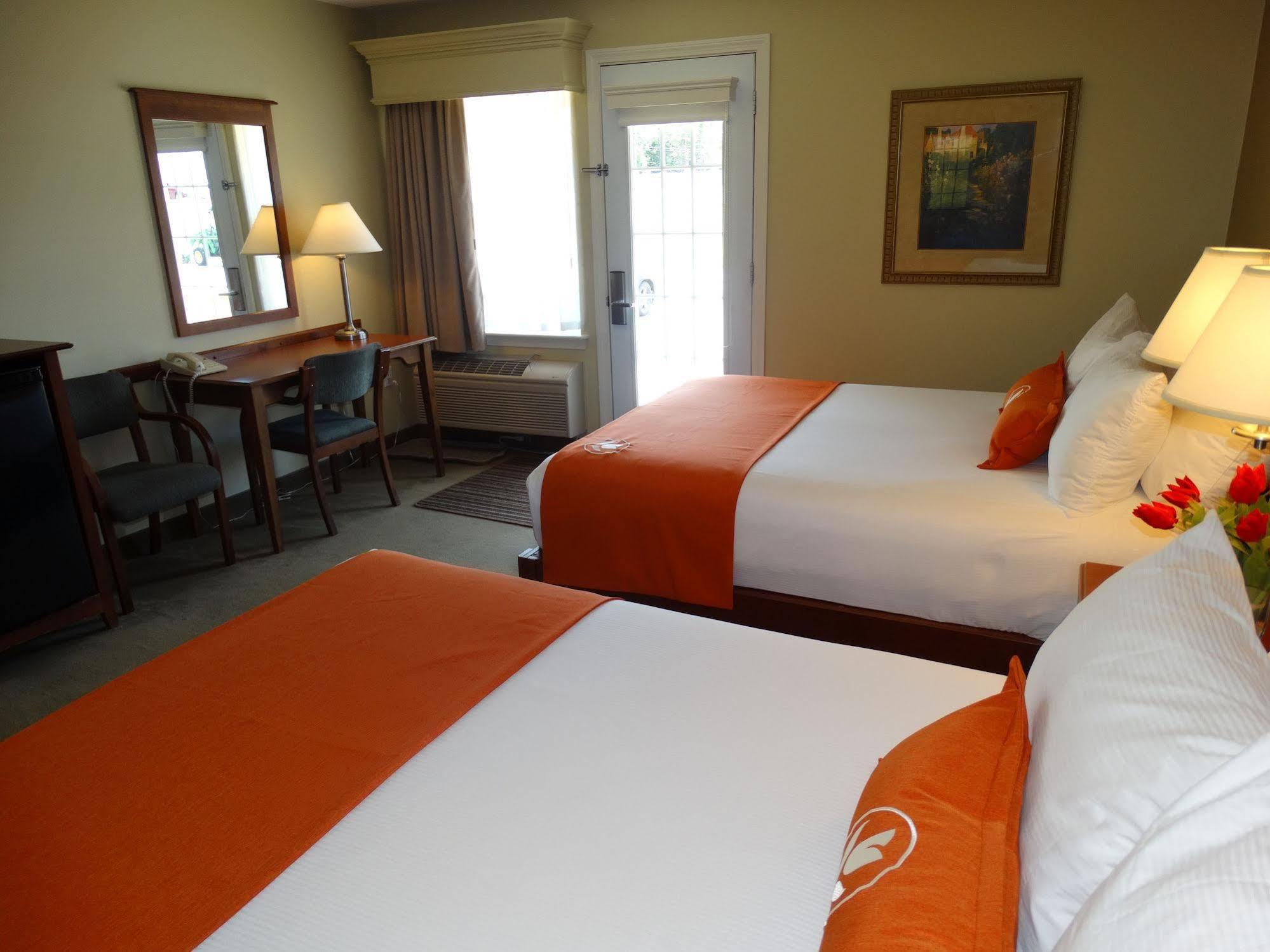 Amsterdam & Motel