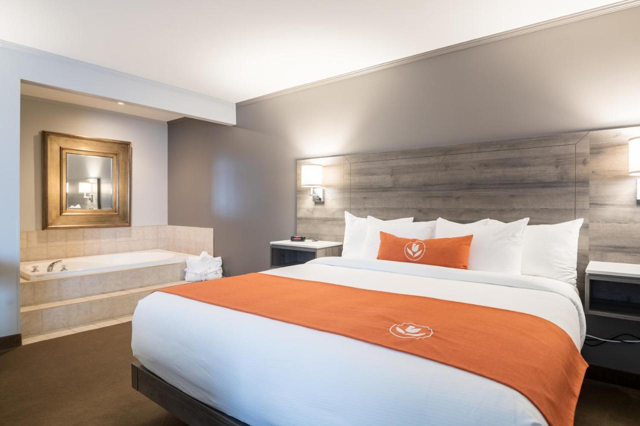 Motel Amsterdam & 3*