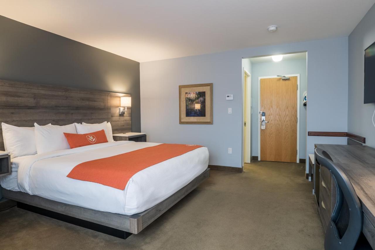 Motel Amsterdam & Moncton